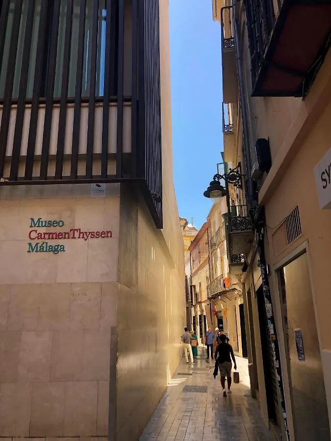 La Gitana Y El Rey Sol Appartement Málaga